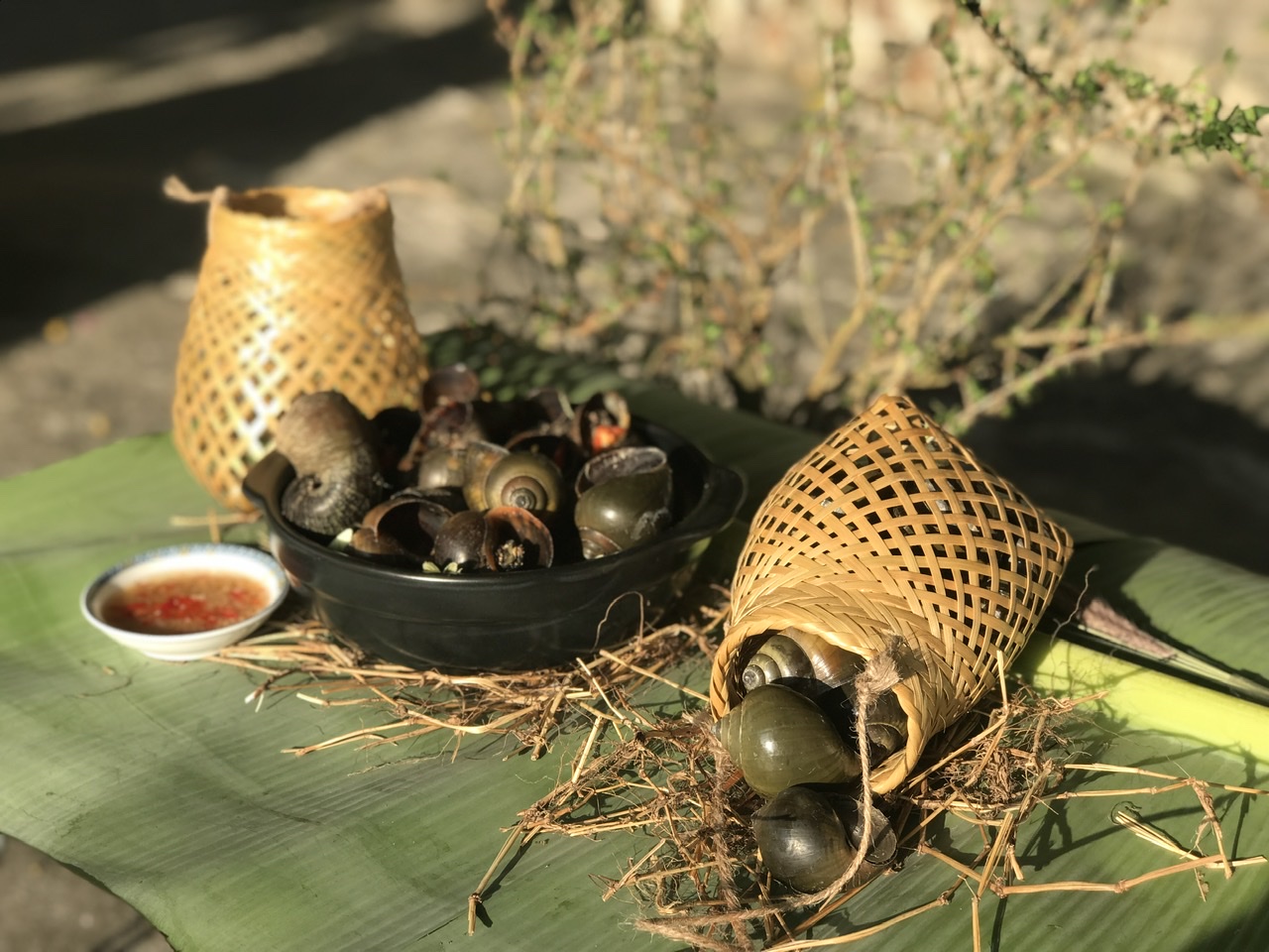Ngâm ốc, làm sạch ốc